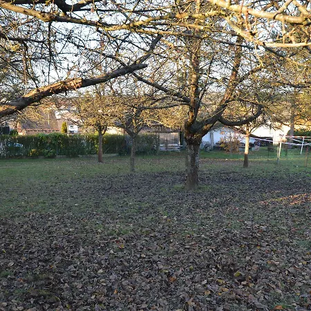 Ferienhaus Hochwaldblick Schillingen